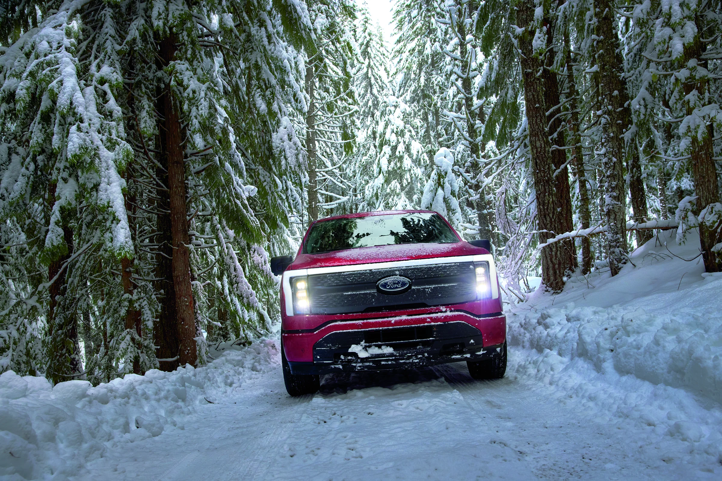 Ford's Guide to Cold Weather Electric Vehicle Confidence
